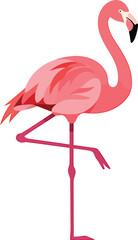 Minimalist Flamingo Vector on White