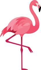 Minimalist Flamingo Vector Design