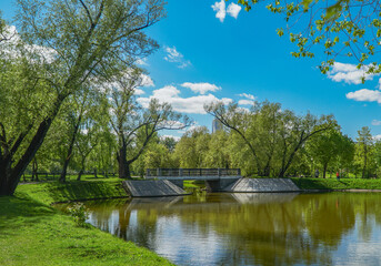 bridge over the river