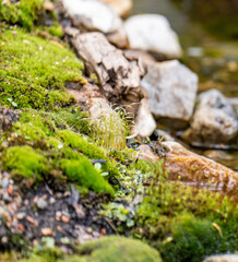 decorative fake made from natural materials