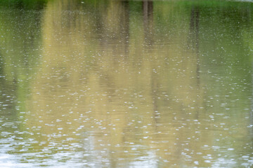 drops of water in a lake