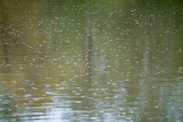 drops of water in a lake