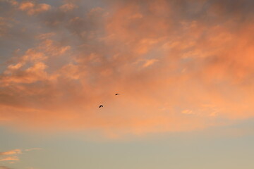 the clouds and blue sky in the sunset