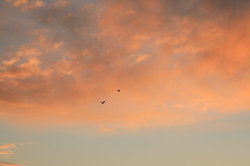 the clouds and blue sky in the sunset