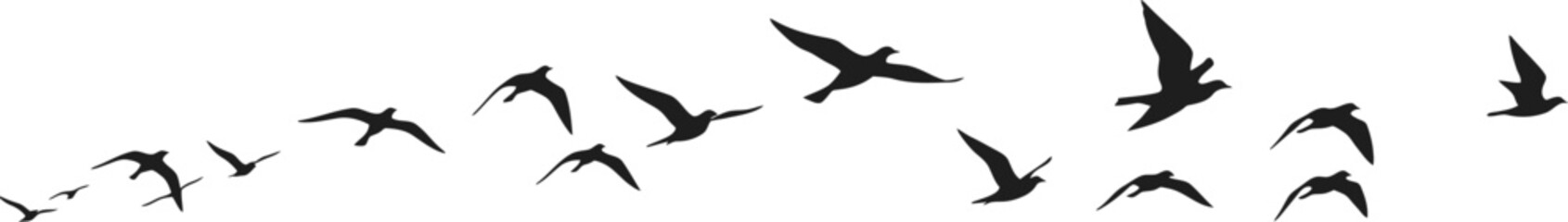 Minimalist Bird Flock Vector