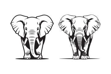 Elephant Head Illustrations Front View Wildlife Vector Art
