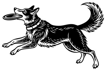 Obraz premium Black silhouette dog catching frisbee in side view with transparency, dog, frisbee, silhouette, side view, animal, pet, canine, playful, sport, catch, vector, graphic, design, illustration, black, tra