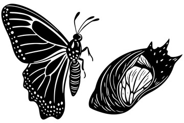 Silhouette depicting a butterfly emerging from chrysalis side view, butterfly, chrysalis, emerging, side view, silhouette, vector, design, illustration, metamorphosis, nature, transformation, growth