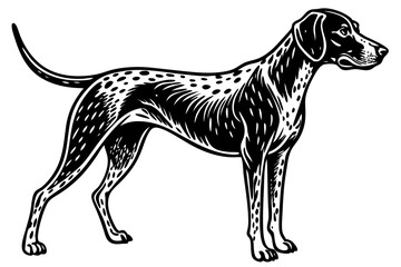 Fototapeta premium Silhouette of a hunting dog pointing with side view vector design, hunting dog, silhouette, pointing, side view, dog, animal, canine, hunter, hunting, pet, mammal, pointer, vector, illustration, art, 