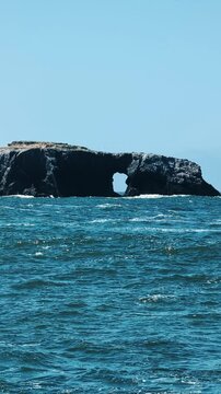 vertical view of the unique cliff of Goat Rock Beach in the background of rippling blue water