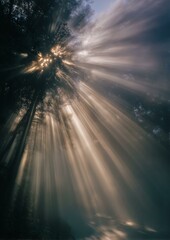 Light Beams Through Morning Fog Photography