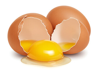 Realistic broken brown eggs with vibrant yellow yolk on a minimalist white background, perfect for culinary food illustrations."