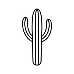 vector illustration of a cactus