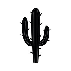 cactus in the desert