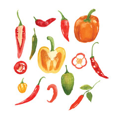 chilli and pepper watercolor