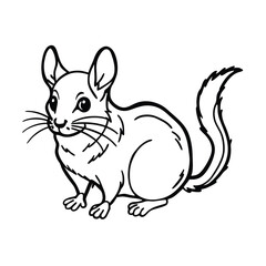 chinchilla pet sketch drawing vector
