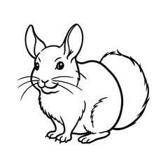 Fototapeta premium chinchilla pet sketch drawing vector