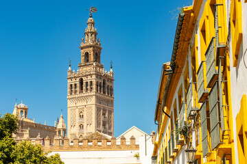 Naklejka premium Giralda tower of Seville cathedral, Spain