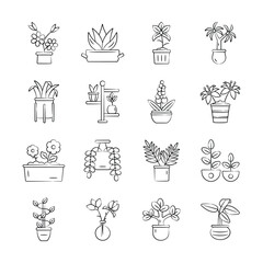 Ready to use handy pack of decorative plants hand drawn icons