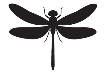 Dragonfly logo silhouette vector, Dragonfly logo icon vector design, simple black silhouette of a dragonfly, a black and white silhouette of a dragonfly vector style isolated on white background