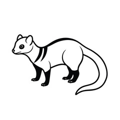 African civet profile line art vector