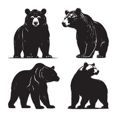 vector illustration of a bear