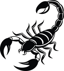 A black scorpion with a long tail. The tail is curled up. The scorpion is on a white background