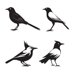 set of silhouettes of birds