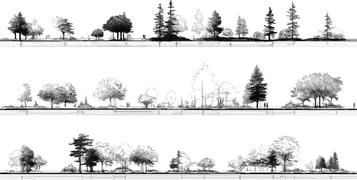 Architectural Drawings, Minimal style cad tree line drawing, Side view, set of graphics trees elements, Set of coniferous and deciduous trees for architecture