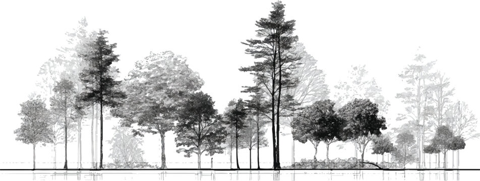 Minimal Style CAD Tree Line Drawings, set of graphics trees elements outline symbol, vector illustration outline symbol for landscape design