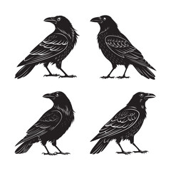 set of silhouettes of birds