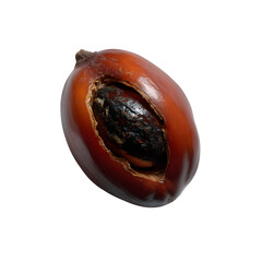Close-up of a ripe palm fruit revealing its dark kernel rich in oil used for cooking and cosmetics.
