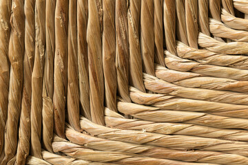 ABSTRACCIÓN DE FIBRAS DE TYPHA TRENZADAS