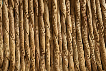 ABSTRACCIÓN DE FIBRAS DE TYPHA TRENZADAS