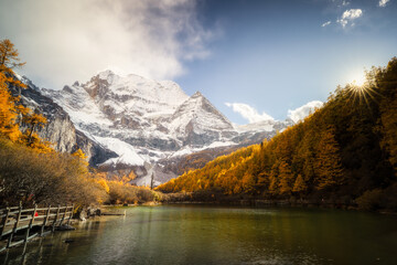 Snow capped mountain, autumn forest, clear lake, wooden walkway, and sunlight create peaceful landscape with vibrant colors and natural beauty in this scenic outdoor view