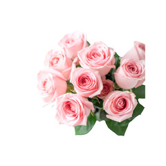 Beautiful bouquet of delicate pink roses close up shot love gift soft on transparent background