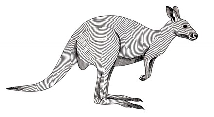 Fototapeta premium Grayscale kangaroo illustration