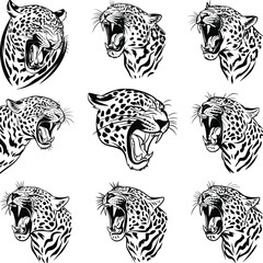 Obraz premium Leopard Head Svg Png, Animal silhouette