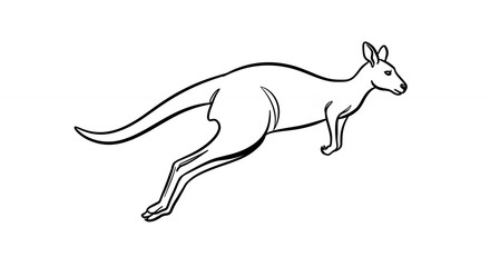 Fototapeta premium Kangaroo illustration