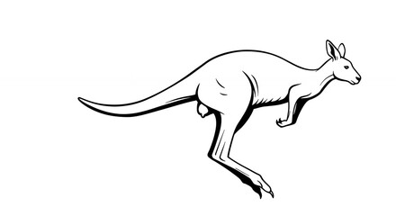Kangaroo line art illustration