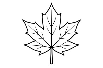 maple leaf silhouette line art vector illustration with a white background