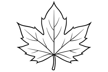 maple leaf silhouette line art vector illustration with a white background