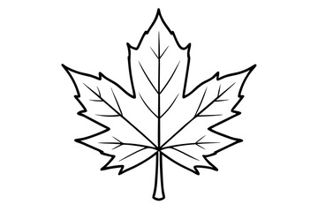 maple leaf silhouette line art vector illustration with a white background