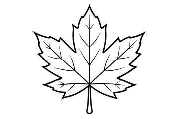 maple leaf silhouette line art vector illustration with a white background