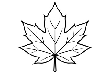 maple leaf silhouette line art vector illustration with a white background