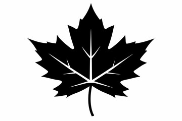 maple leaf silhouette line art vector illustration with a white background