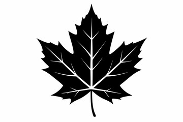 maple leaf silhouette line art vector illustration with a white background