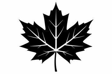 maple leaf silhouette line art vector illustration with a white background