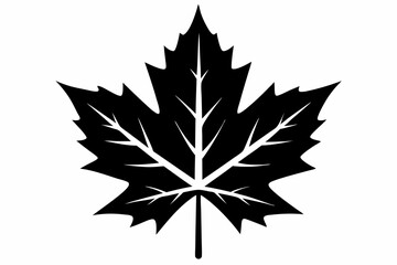 maple leaf silhouette line art vector illustration with a white background