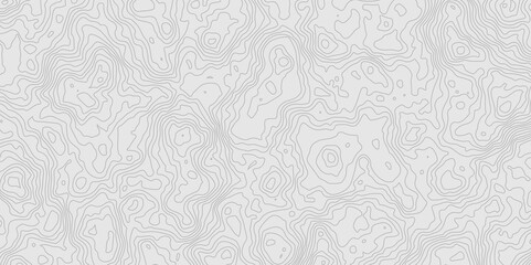Geographic World Topography map grid abstract. Topo map with elevation. Contour map. Abstract topographic contour map on white background concept.